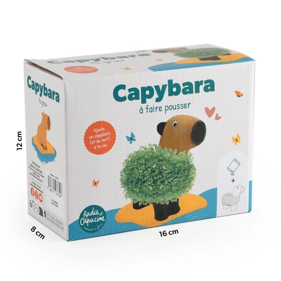 Kapibara z terakoty do zasiania nasion chia / Radis et Capucine