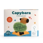 Kapibara z terakoty do zasiania nasion chia / Radis et Capucine