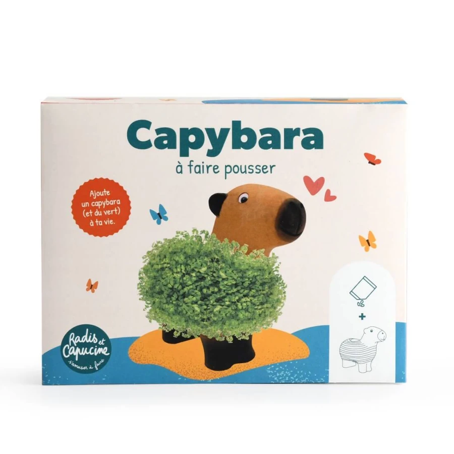 Kapibara z terakoty do zasiania nasion chia / Radis et Capucine