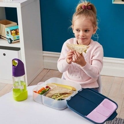 Lunchbox Indigo Rose / b.box