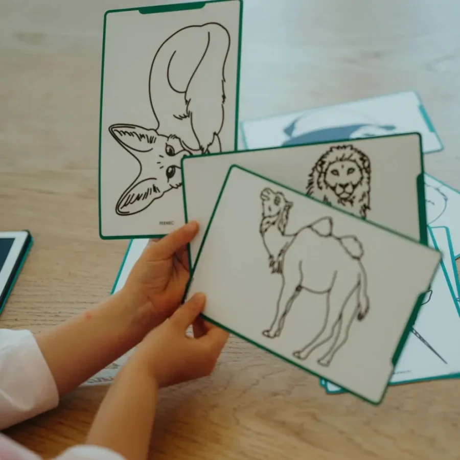 Wkłady uzupełniające REFIL KIDYDRAW-MINI - Animals around the world and Oceans & Pirates / Kidywolf