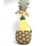 Brelok Ananas / Yuko B.