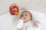 Muzyczne radio malucha 3m+ / TOLO Bio
