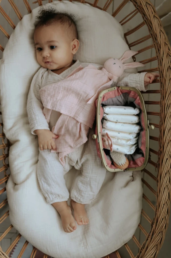 Organizer Zip&Go - Pink Petit River Rose / Elodie Details