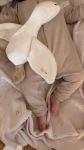 Rampers niemowlęcy z wełny merino - BEIGE / YOSOY