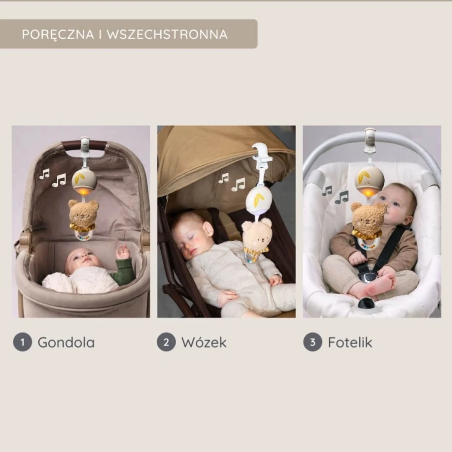 Muzyczny Miś Rozwojowy - melodie i światełka dla niemowląt / Taf Toys