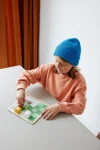 Gra logiczna Farmer i zagroda, 6+ / BS Toys