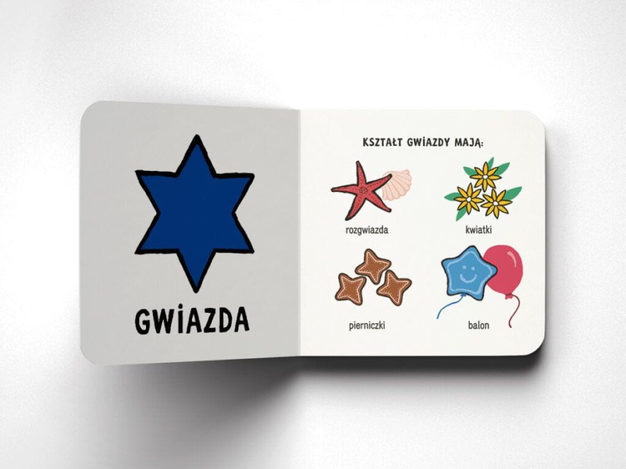 Akademia Kici Koci. Kształty / Wydawnictwo Media Rodzina