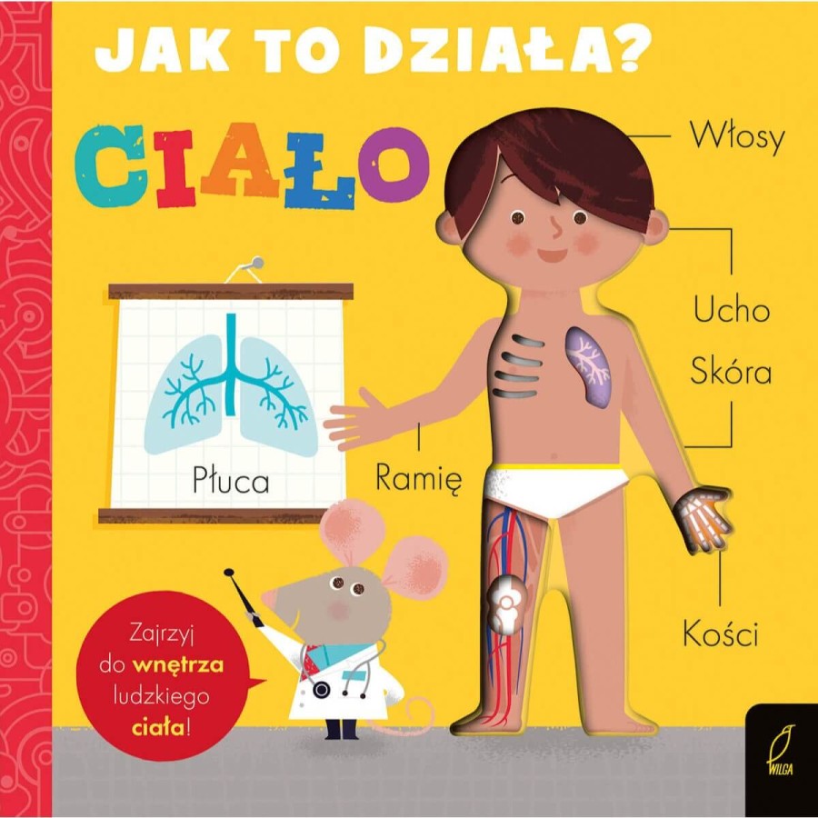 Jak to działa? CIAŁO /Wilga