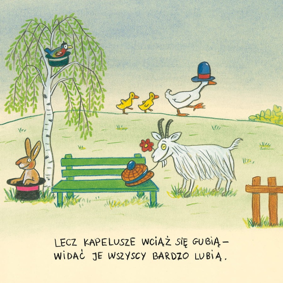 Kasia z ulicy Czereśniowej / Wydawnictwo Dwie Siostry
