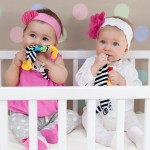 Szmatka sensoryczna Zebra / Mom's Care