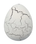 Magiczne jajko dinozaura / Buki D6G