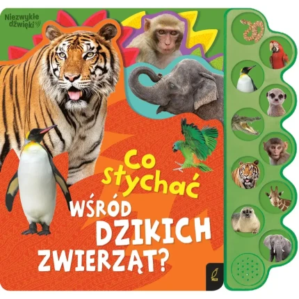 II GATUNEK: Co słychać wśród dzikich zwierzą? / Wilga