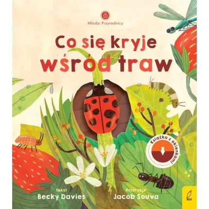 Młodzi przyrodnicy. Co się kryje wśród traw / Wilga