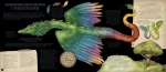 Historia naturalna stworzeń magicznych / HarperCollins