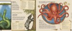 Historia naturalna stworzeń magicznych / HarperCollins