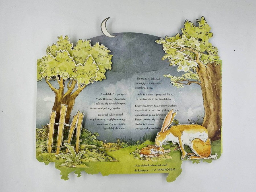 Nawet nie wiesz, jak bardzo Cię kocham. Pop-up / HarperCollins